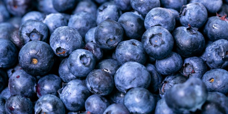 close up photo of blueberries